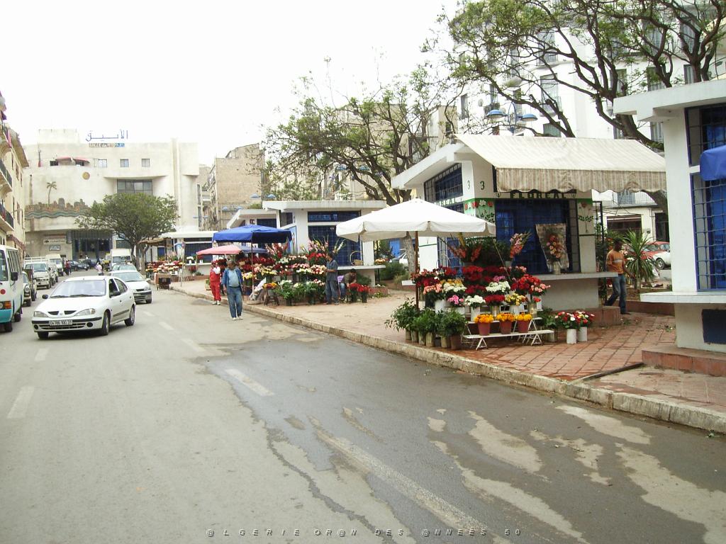 162-ORAN-Juin06-la place HOCHE.jpg - Unicode